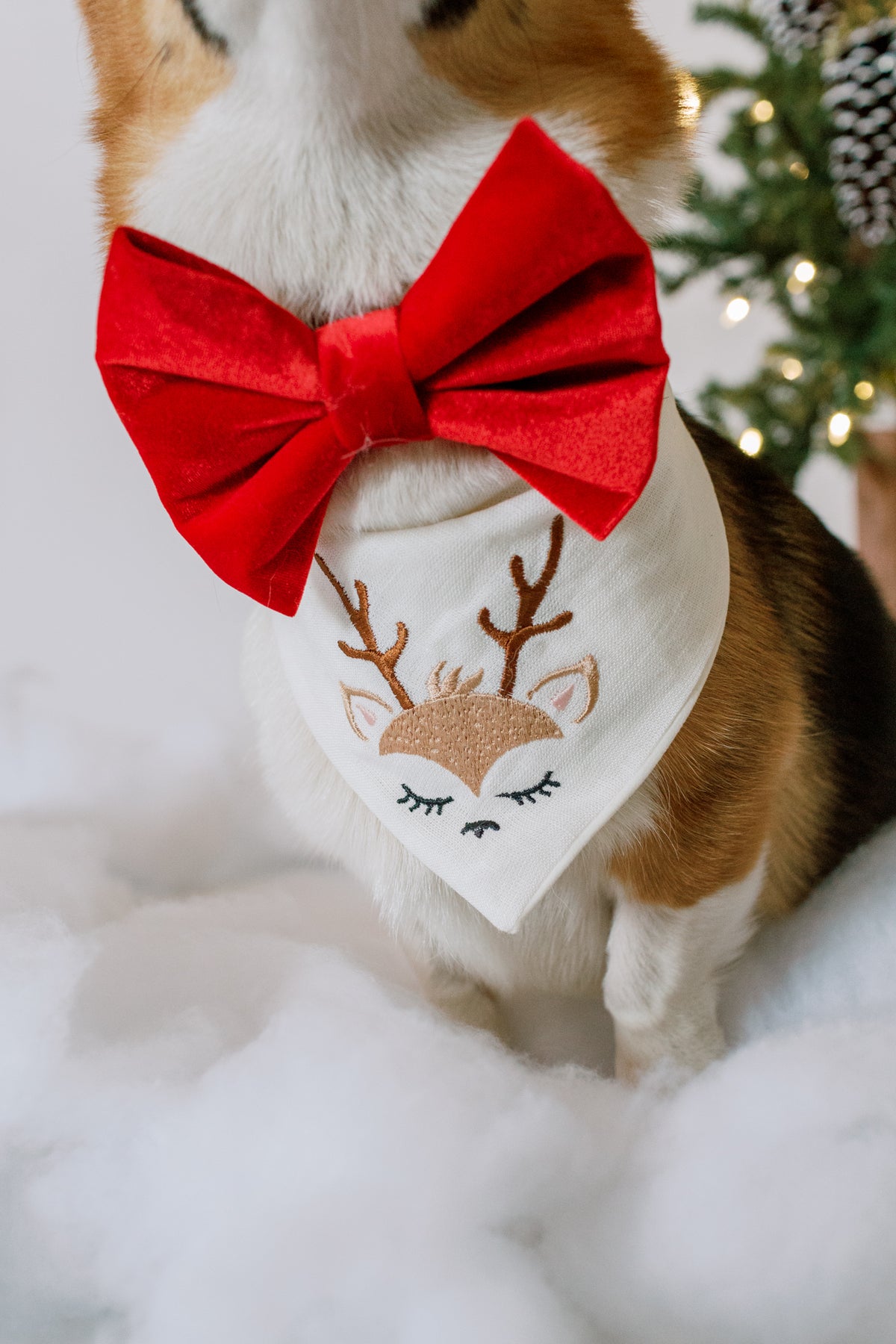 Dog wearing a red bow tie and reindeer-themed bandana on a white background