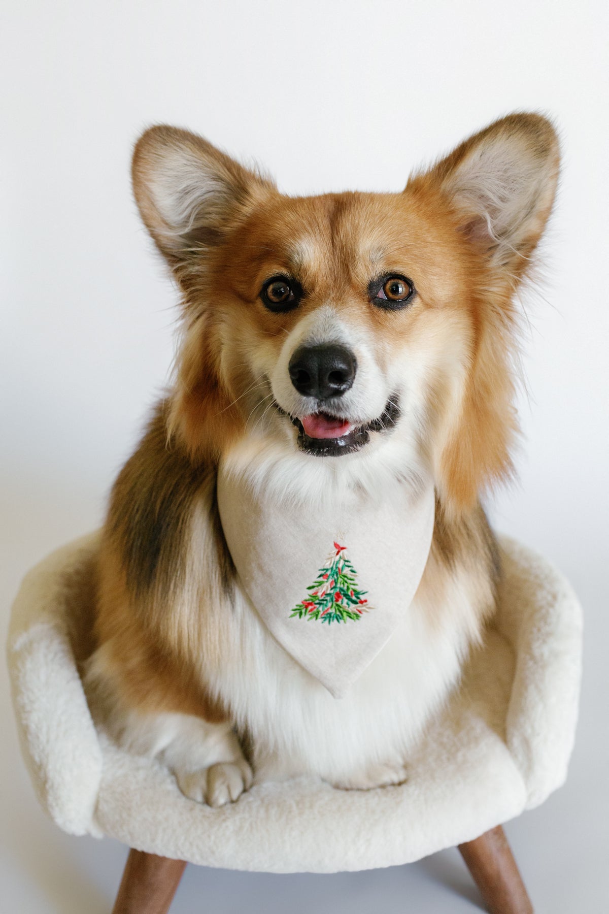 Dog wearing a bandana with a Christmas tree design on a white background