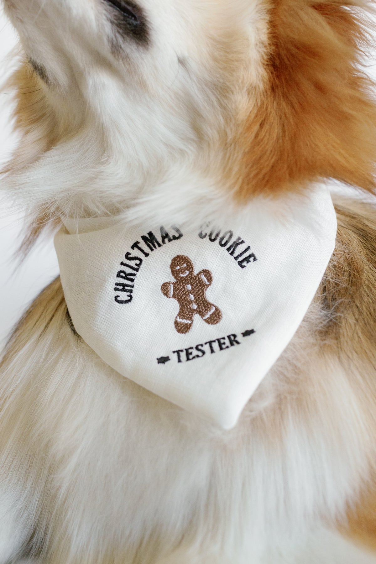 Dog wearing a bandana with 'Christmas Cookie Tester' text and gingerbread man graphic.