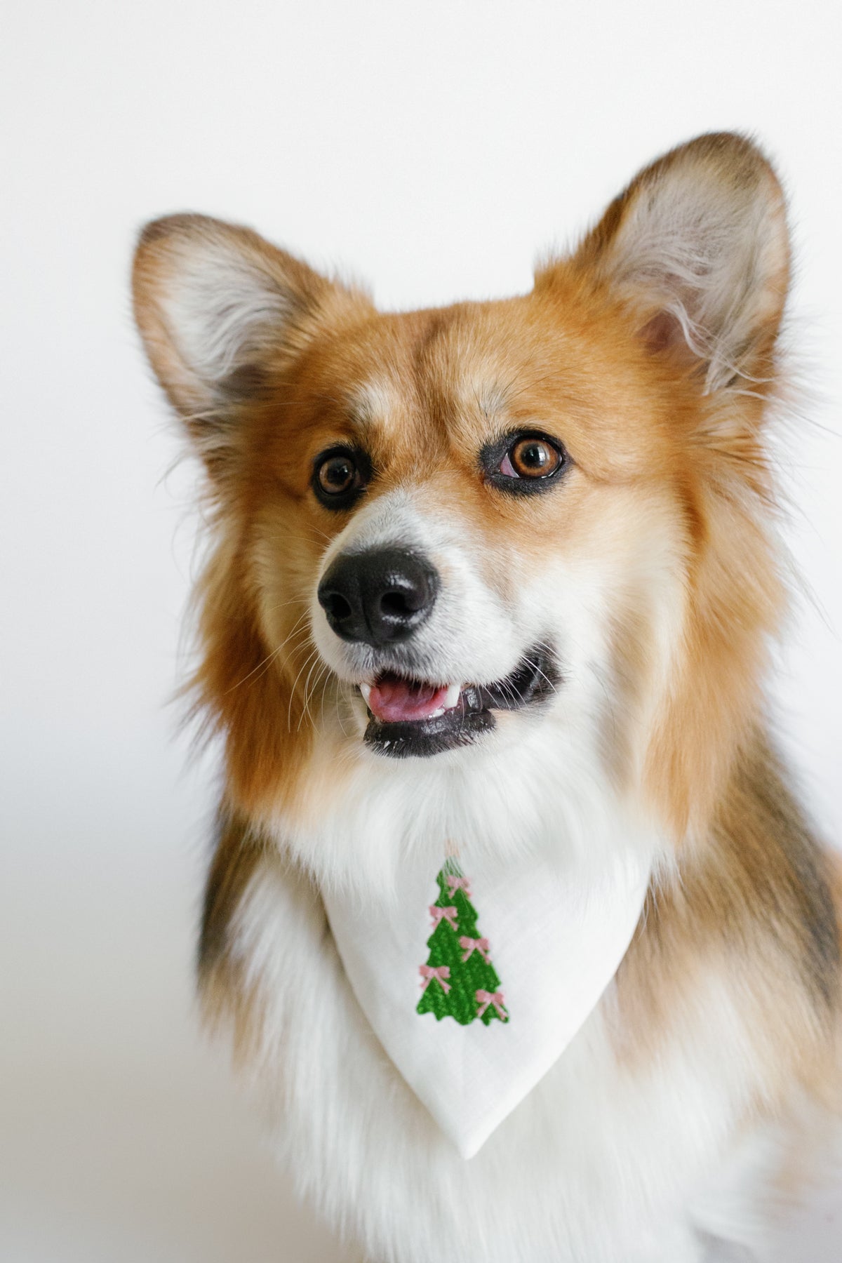 Dog wearing a bandana with a Christmas tree design on a white background