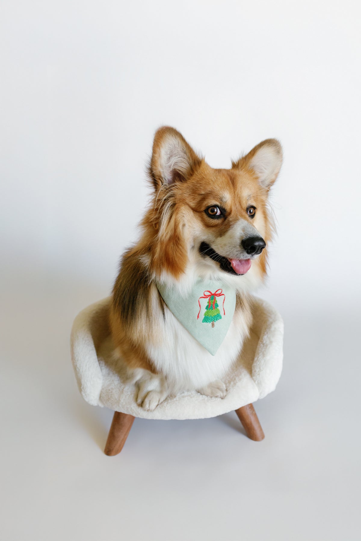 Dog wearing a bandana with a green tree design on a white background