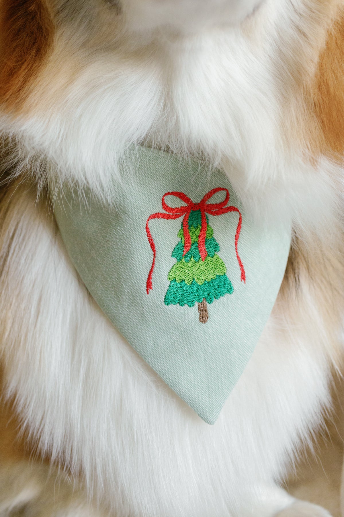 Dog wearing a green bandana with a Christmas tree design on a fluffy white and brown dog.
