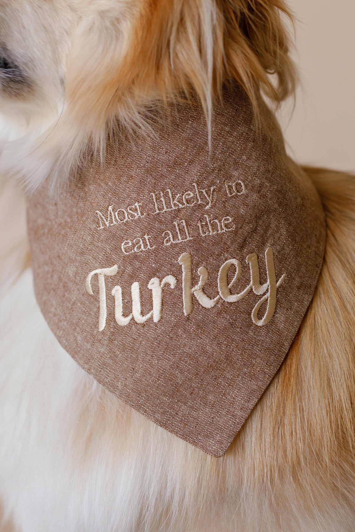 Dog wearing a brown bandana with 'Most likely to eat all the Turkey' text.
