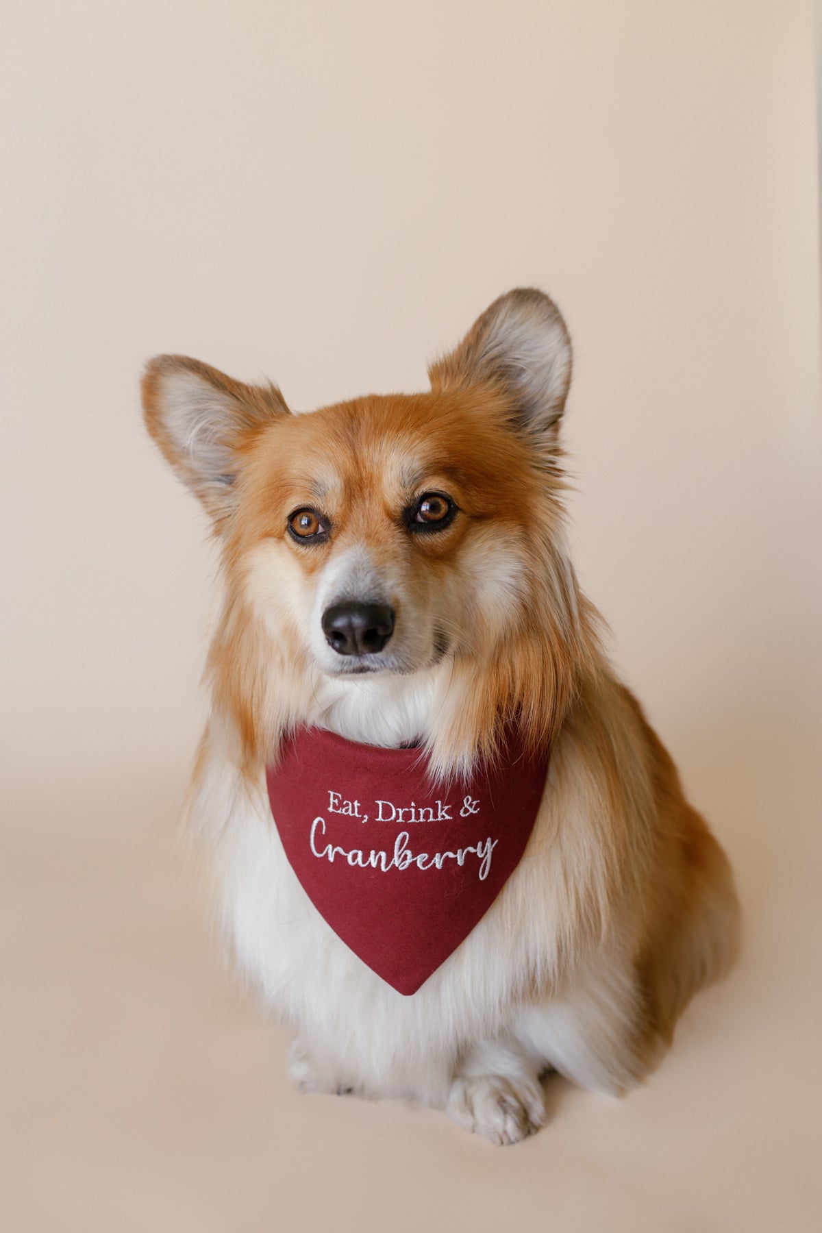 Dog wearing a red bandana with text on a beige background