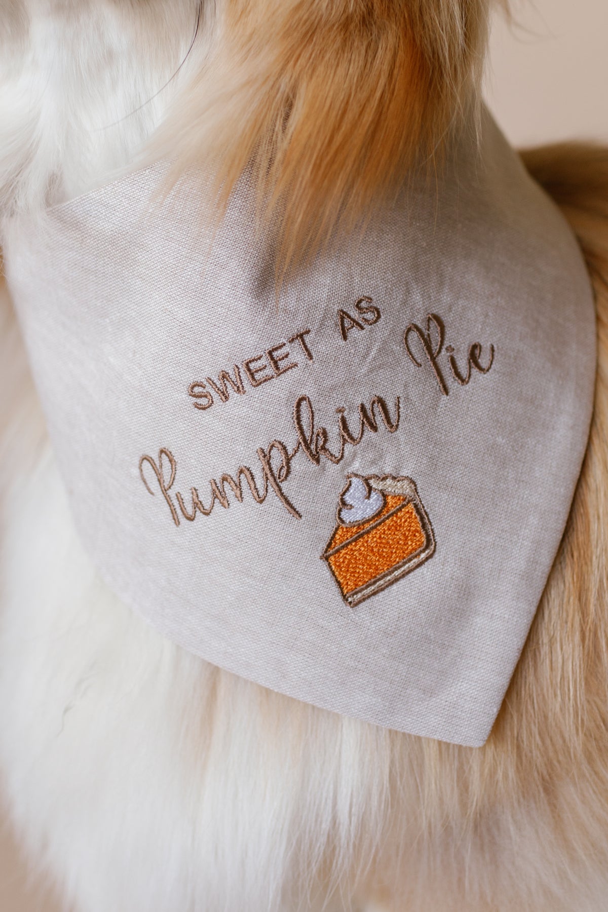Dog bandana with 'Sweet as Pumpkin Pie' text and pumpkin pie graphic on a white background.
