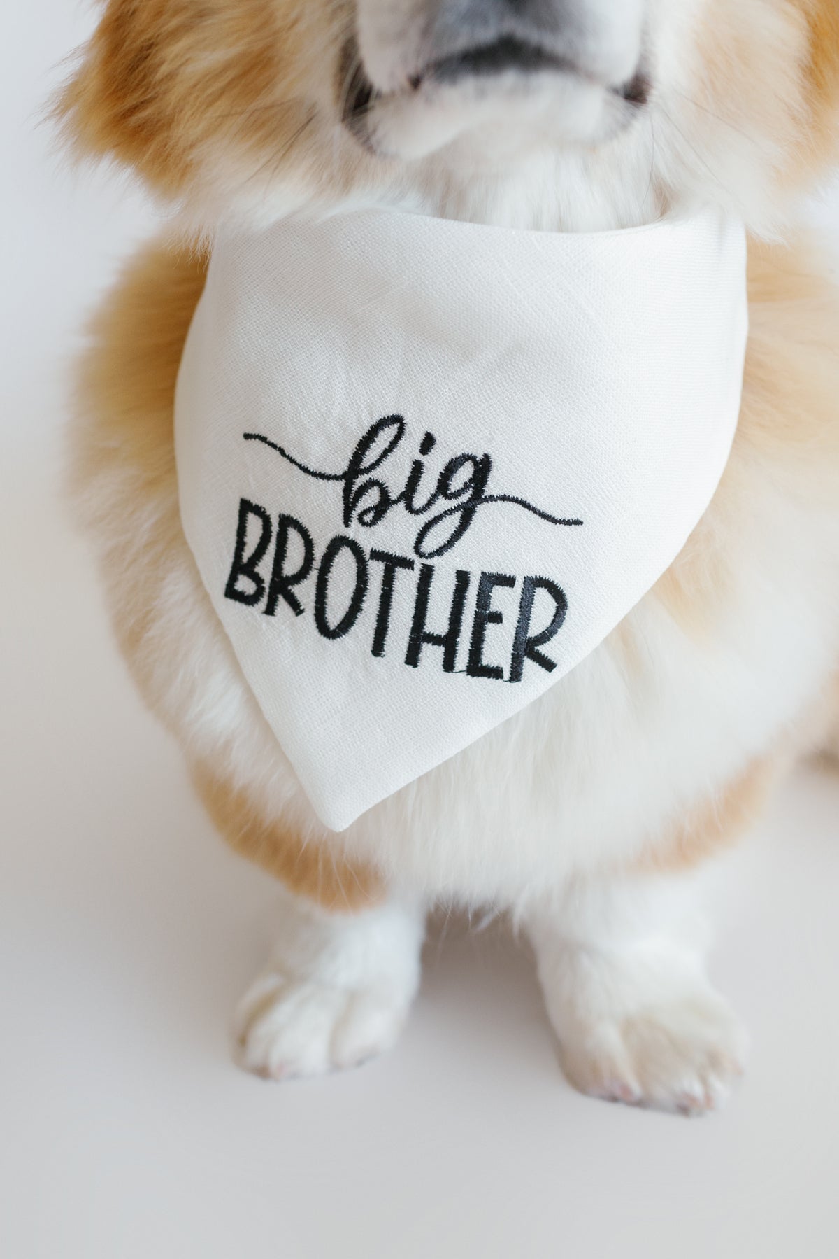 Big Brother Embroidered Dog Bandana | CUSTOM COLORS - Canoodle Company