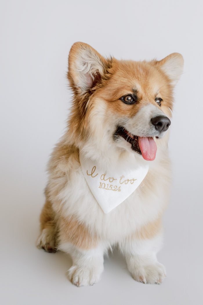 Corgi wearing a bandana with 'I do too' printed on it against a white background