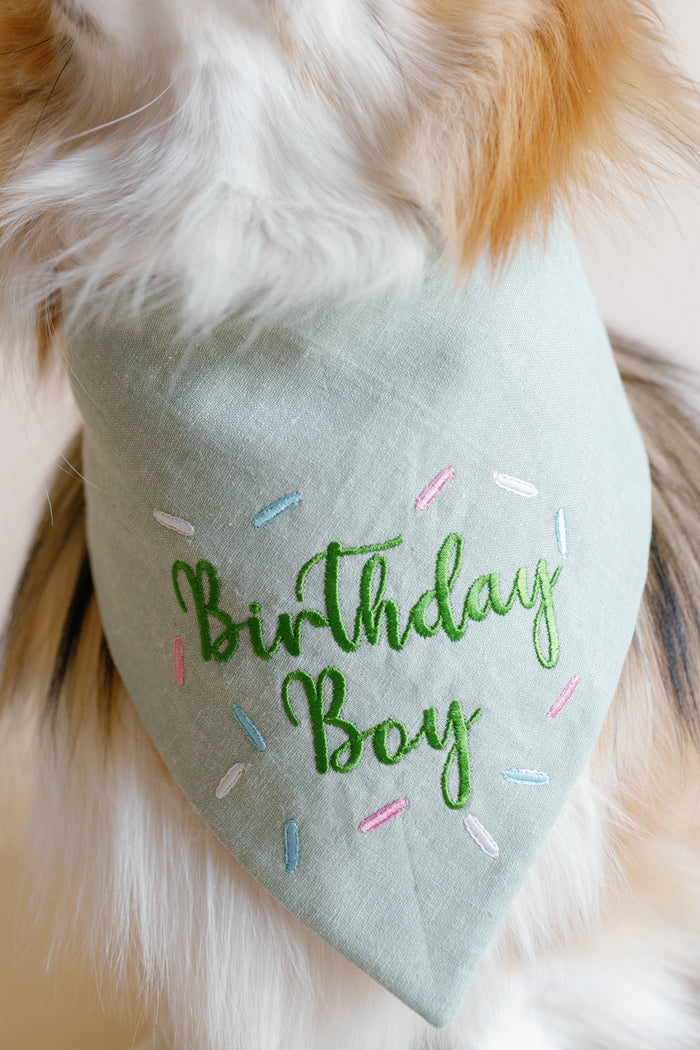 Dog wearing a bandana with 'Birthday Boy' text on a fluffy background