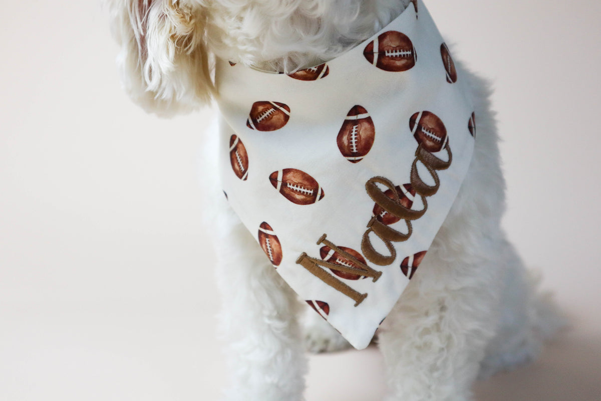 Dog wearing a bandana with football pattern and  text on a plain background