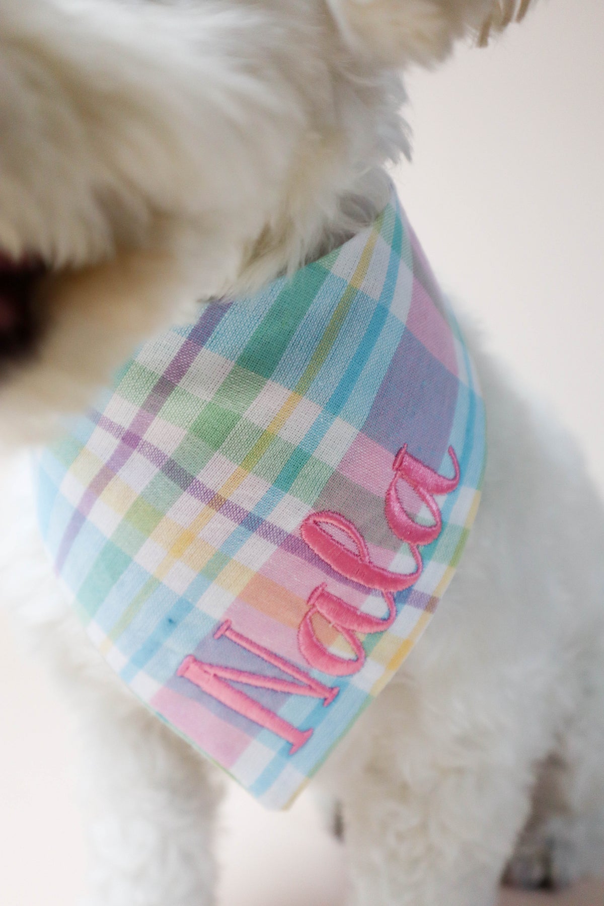 Dog wearing a colorful plaid bandana with 'Nala' printed on it.