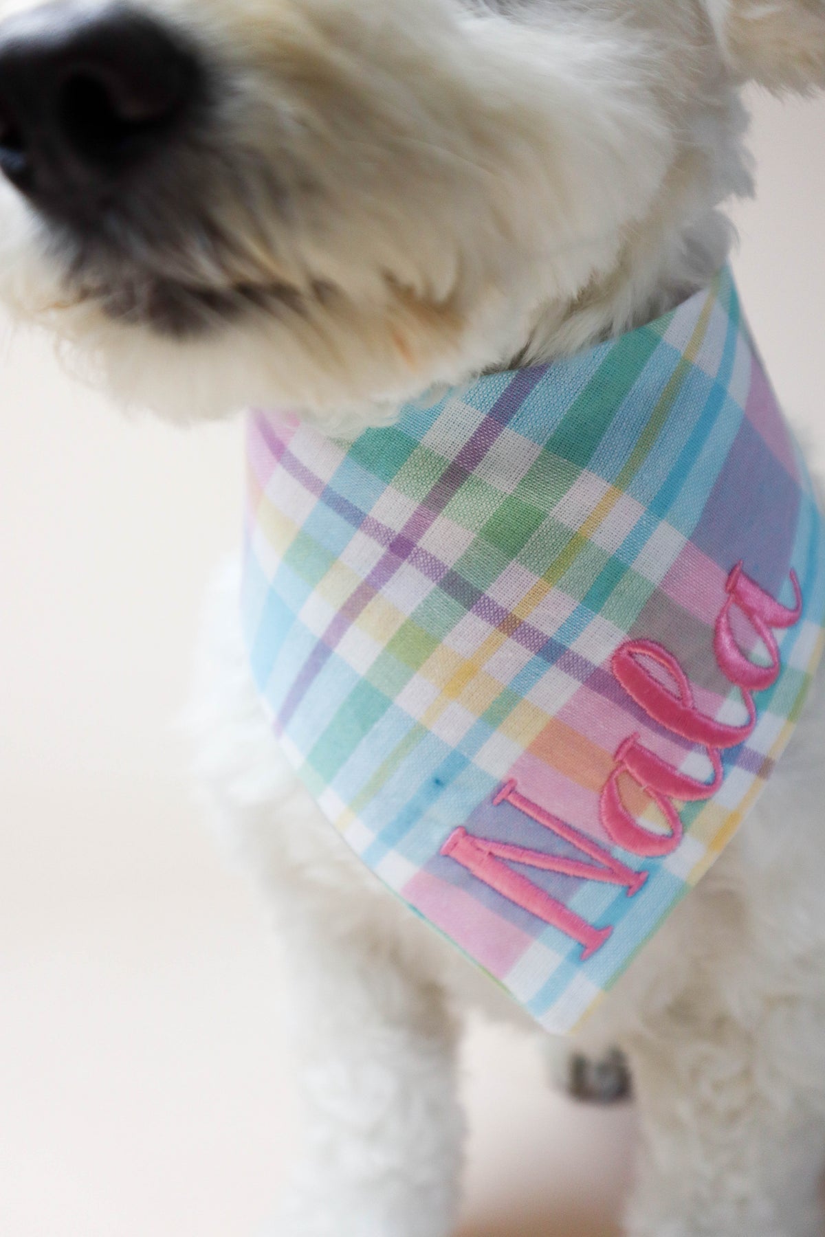 Dog wearing a colorful plaid bandana with 'Nala' printed on it.
