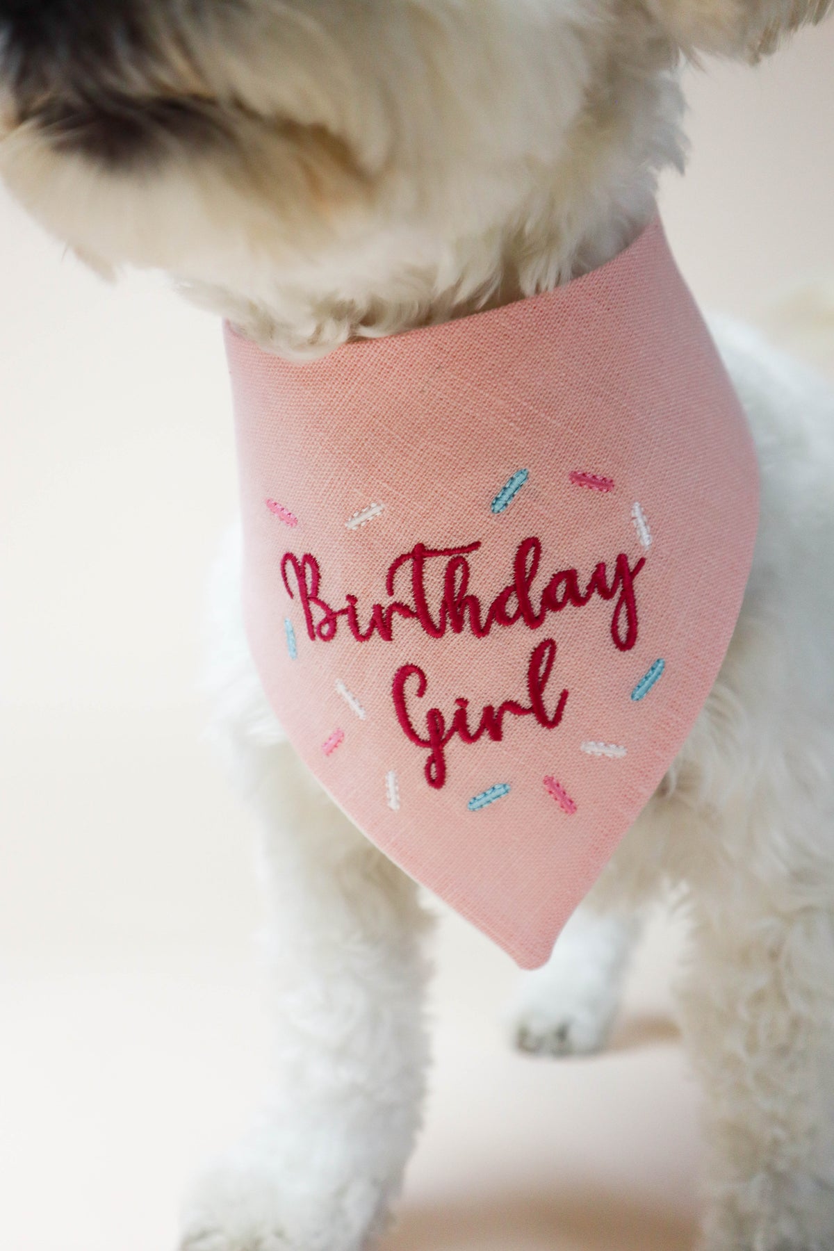 Dog wearing a pink 'Birthday Girl' bandana with confetti details.