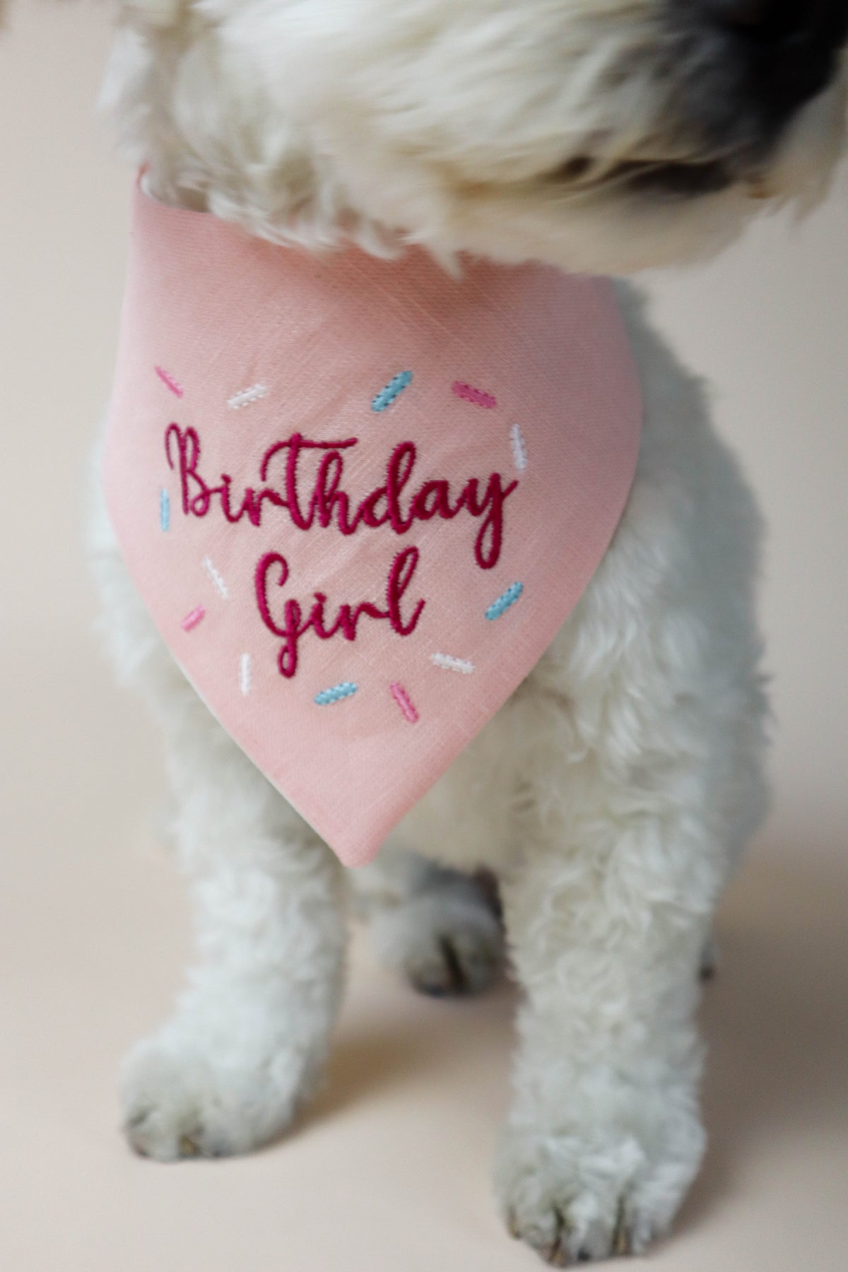 Dog wearing a pink bandana with 'Birthday Girl' text on a plain background