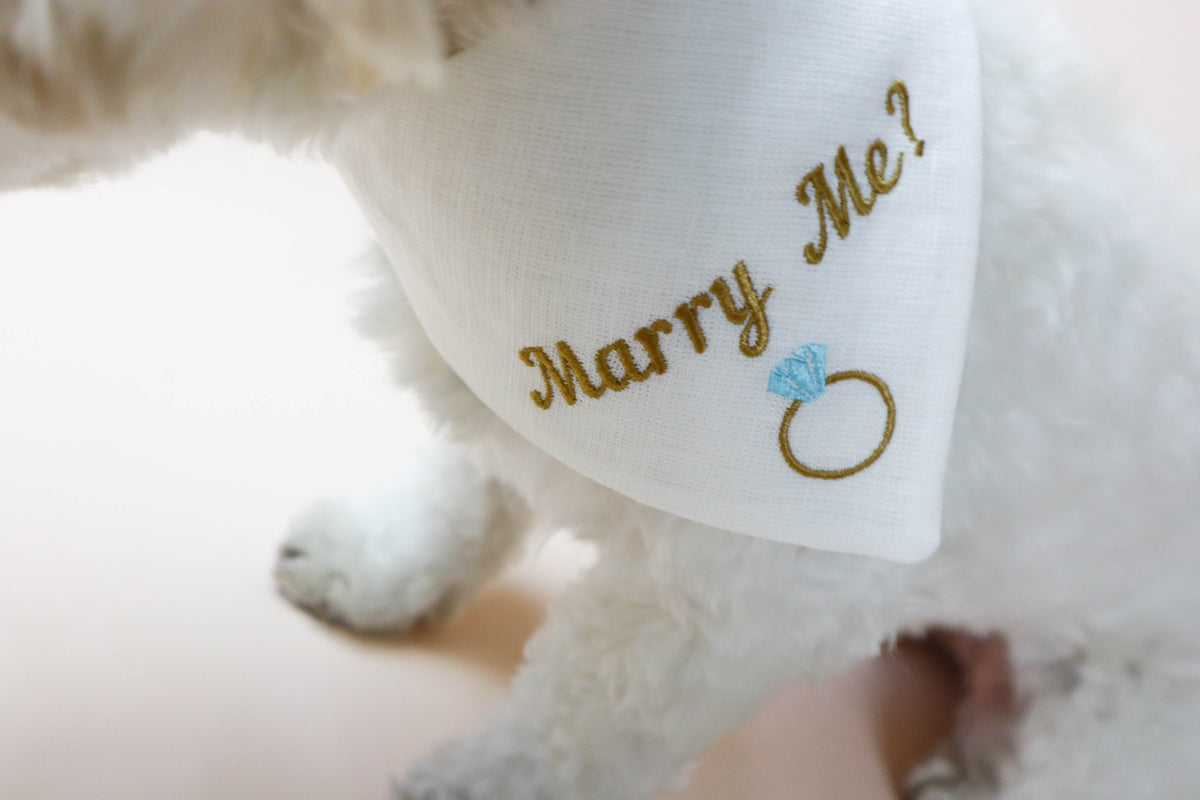 White dog toy with 'Marry Me?' embroidery and ring design, held by a person.