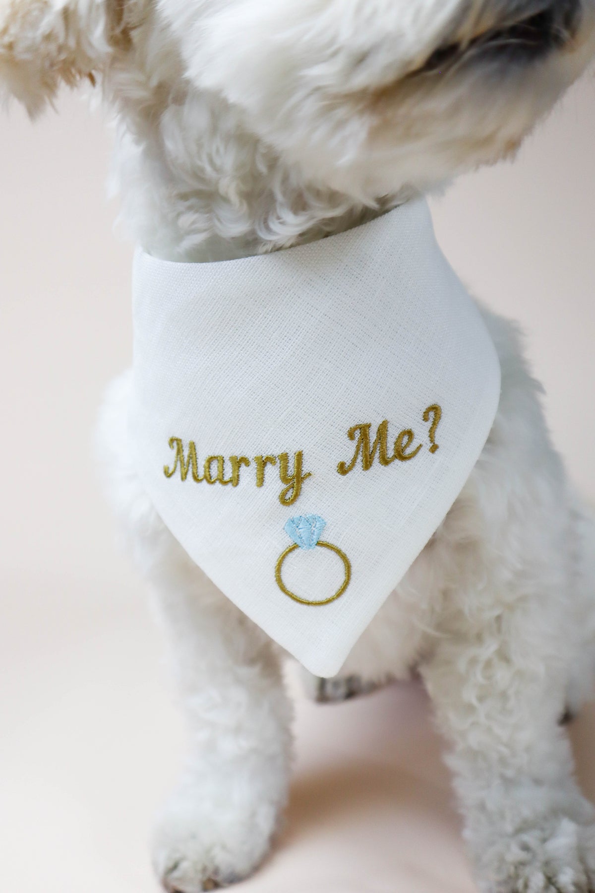 Dog wearing a bandana with 'Marry Me?' and a ring embroidery on a light background