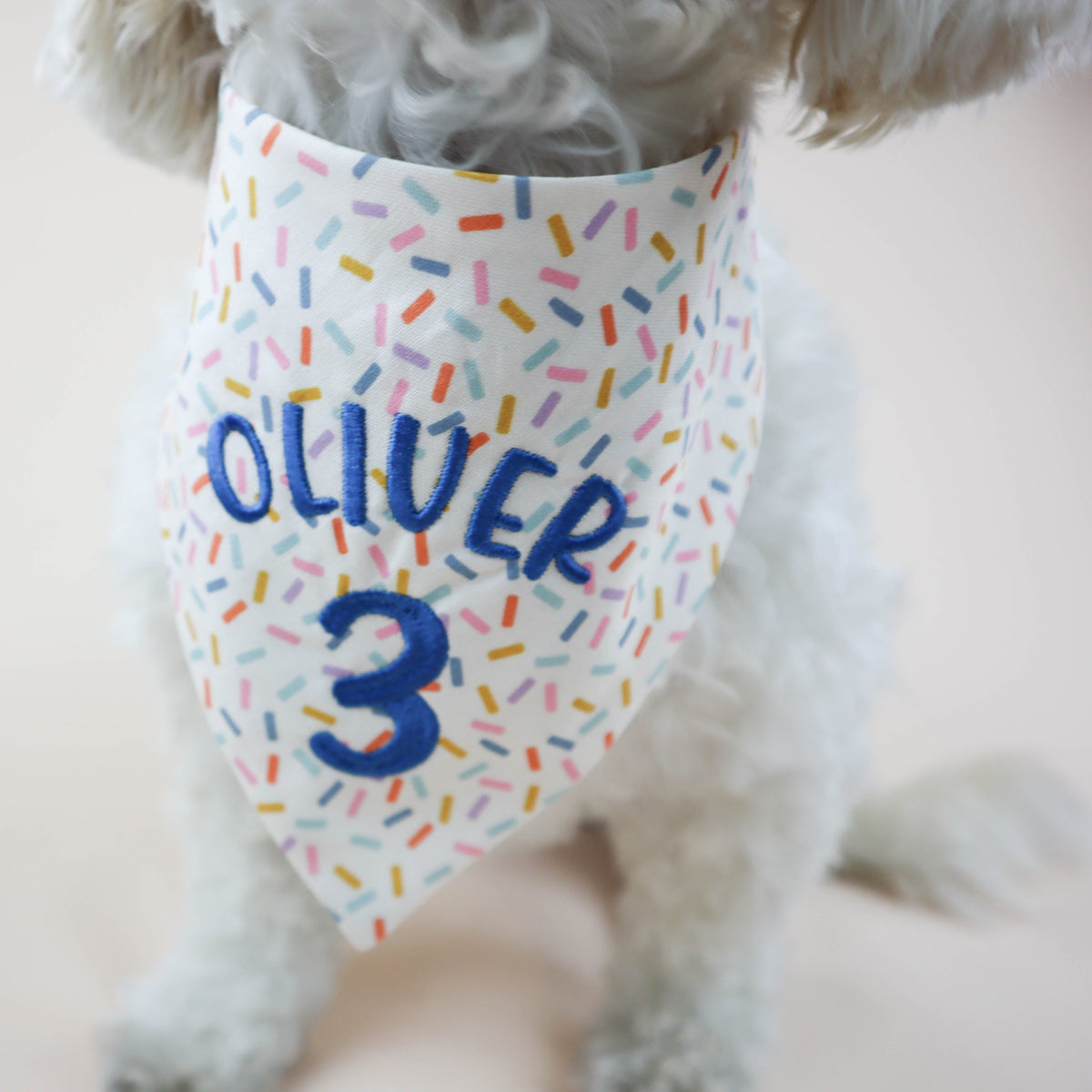 Dog wearing a colorful bandana with 'OLIVER 3' on a light background