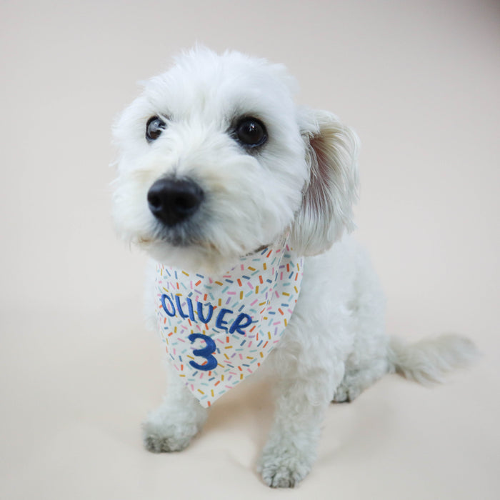 Small white dog wearing a bandana with 'Oliver' and number '3' on a plain background