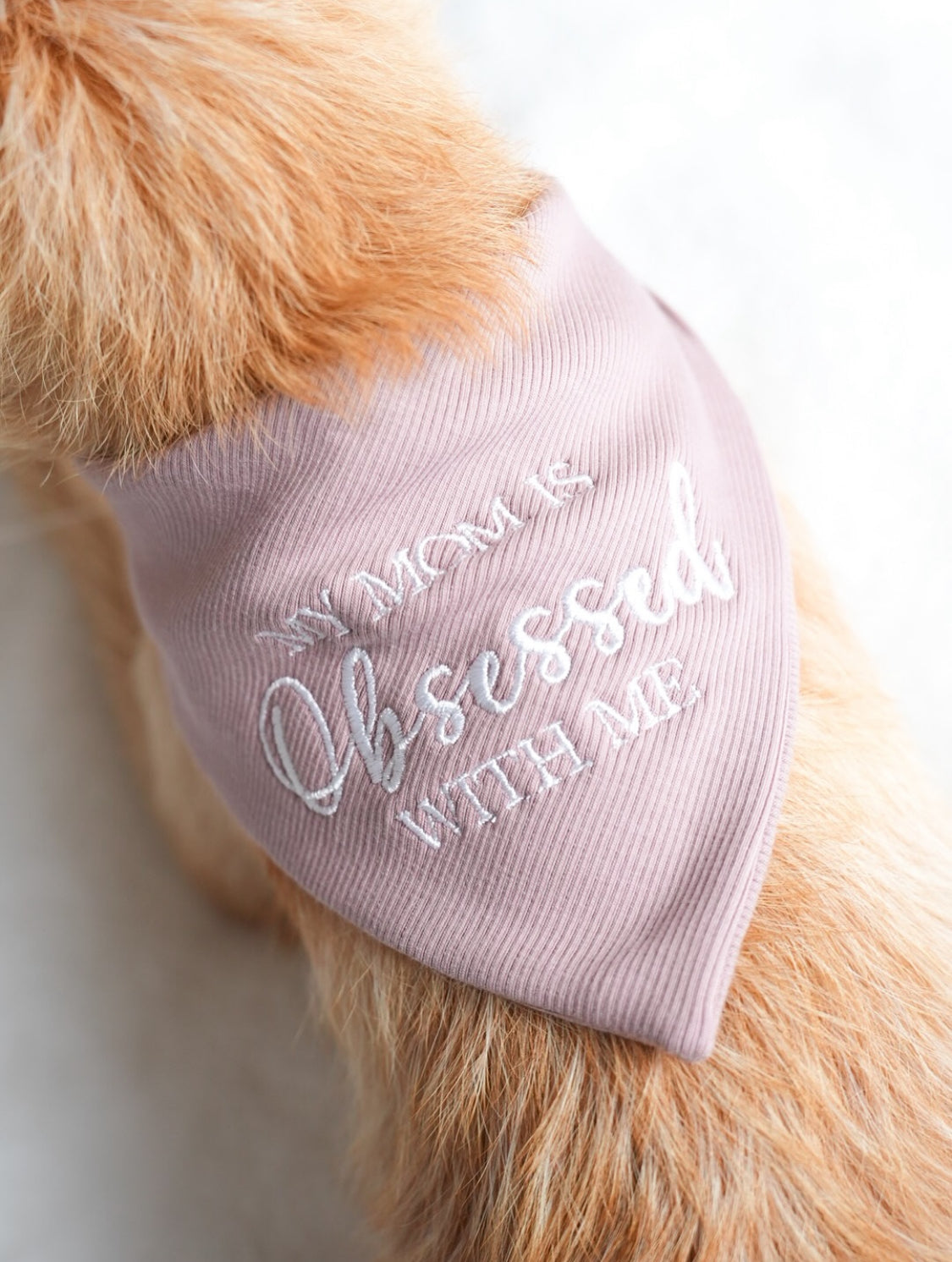 Dog wearing a pink bandana with 'My Mom is Obsessed with Me' text on a white background