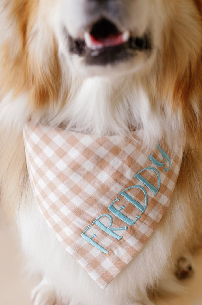 Dog wearing a checkered bandana with 'Freddy' on a beige background