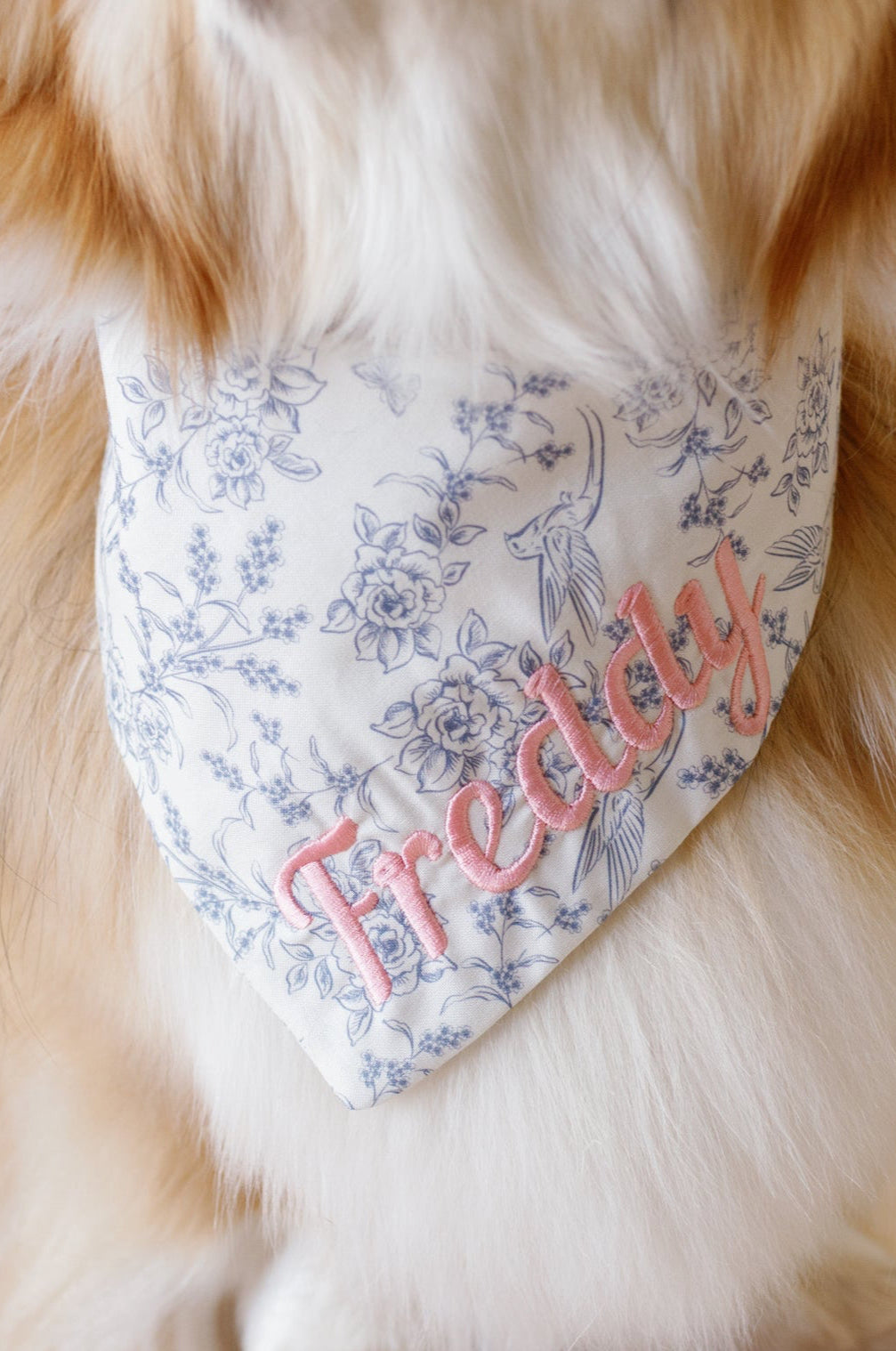 Dog wearing a floral bandana with 'Freddie' on a beige background