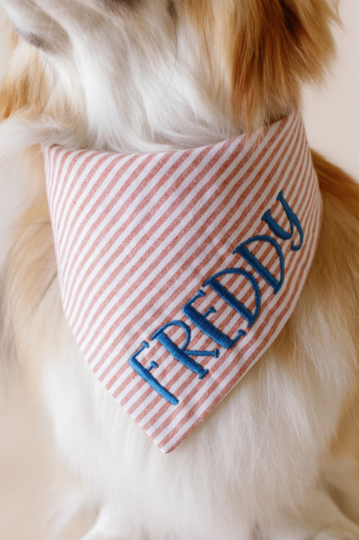 Dog wearing a red and white striped bandana with 'FREDDY' on a beige background