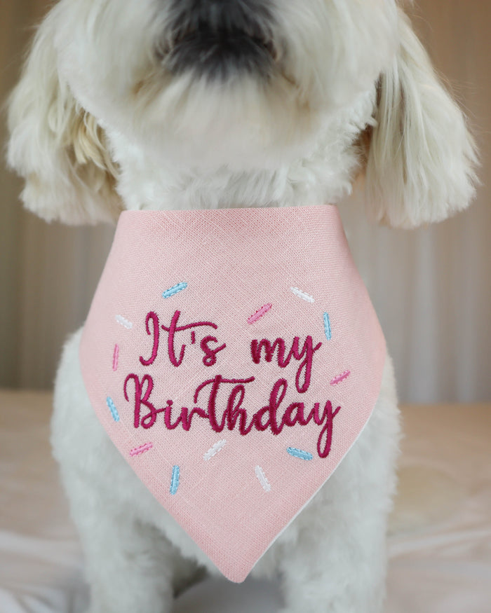 Dog wearing a pink 'It's my Birthday' bandana on a neutral background
