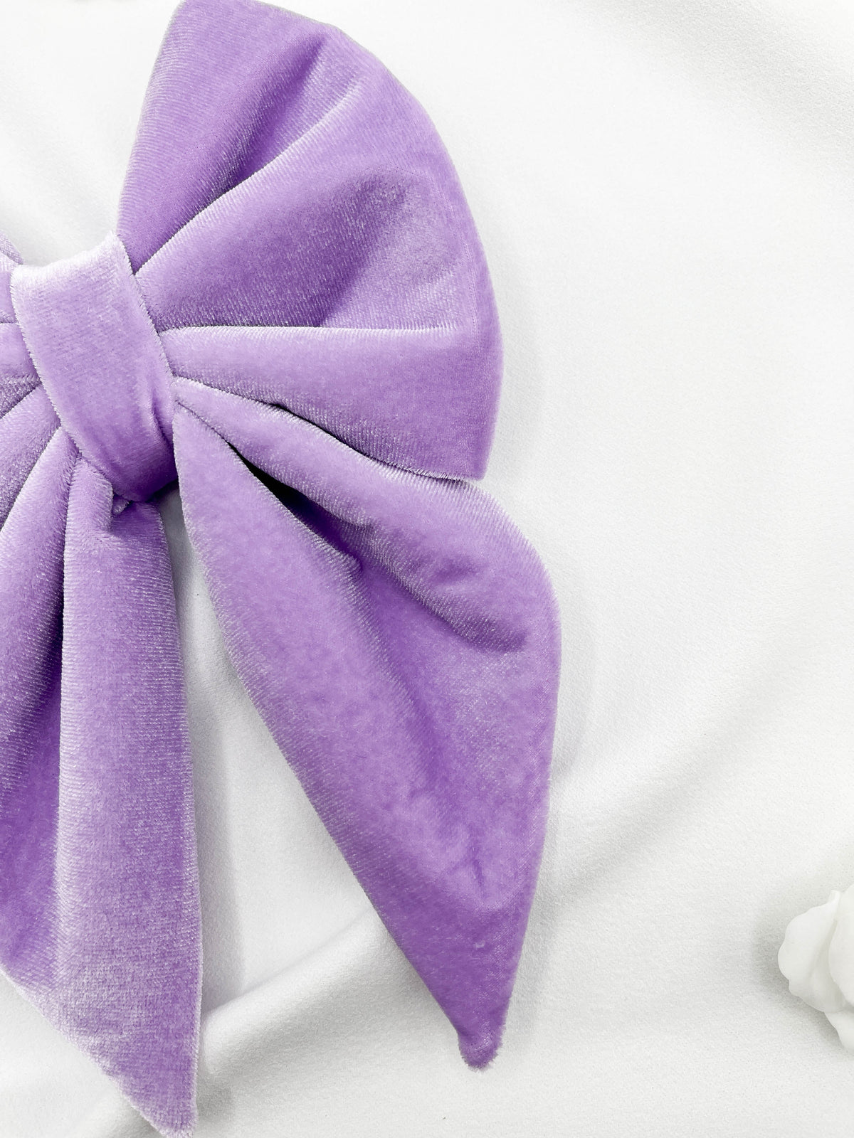 Purple sailor bow on a white background