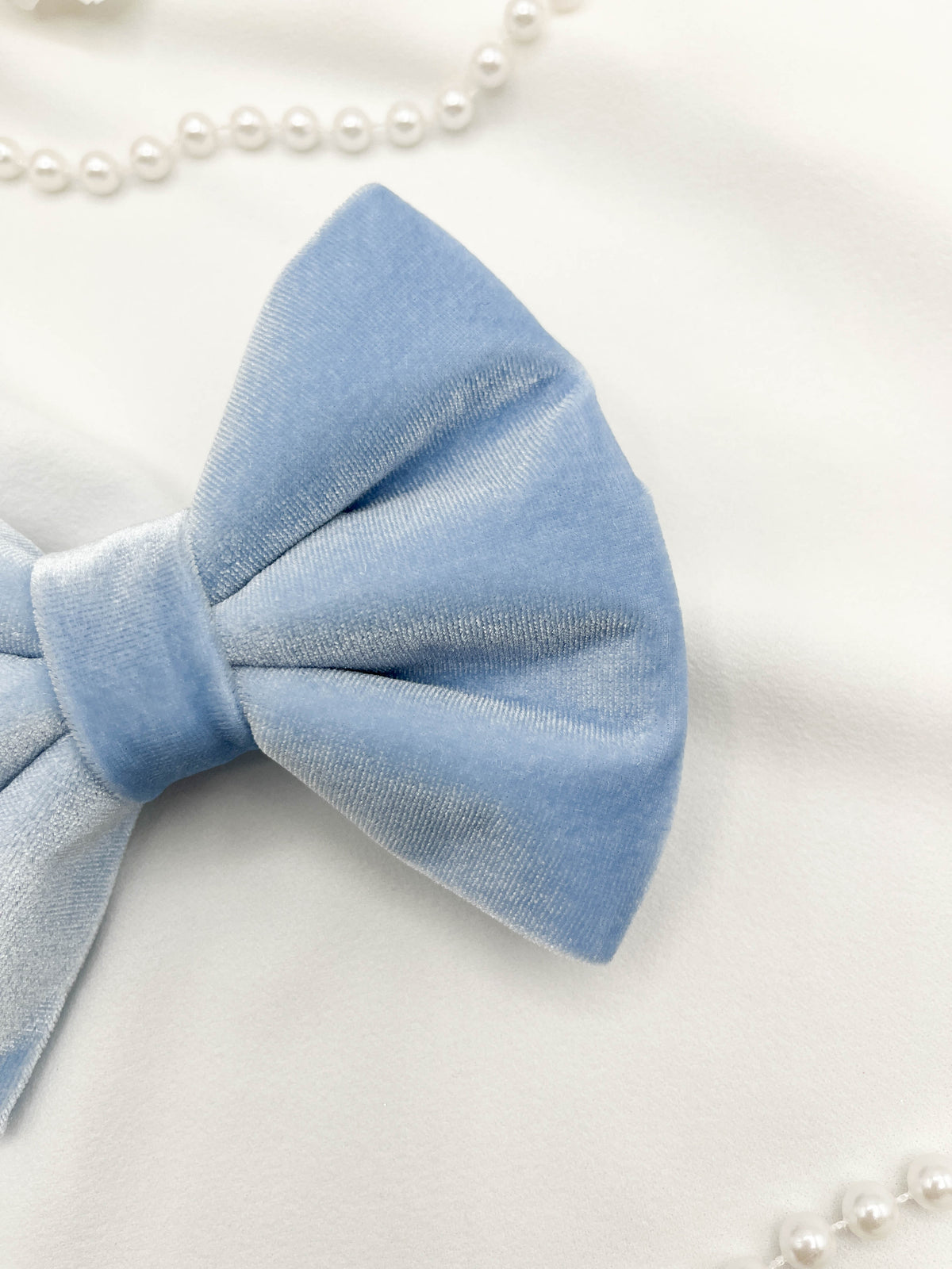 Light blue bow with pearls on a white background