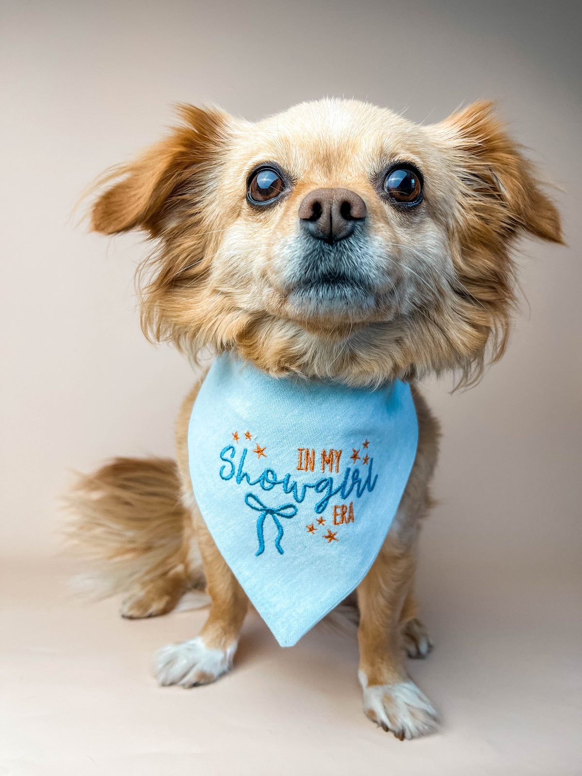 Dog wearing a blue bandana with text on a plain background