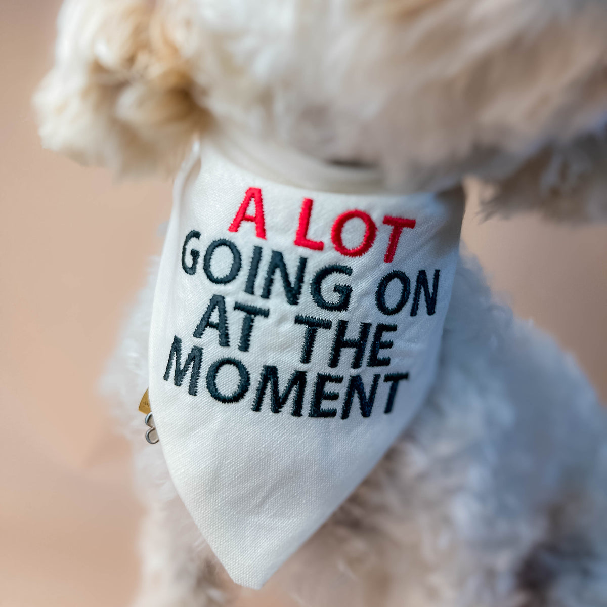 Dog wearing a bandana with text 'A LOT GOING ON AT THE MOMENT' on a blurred background