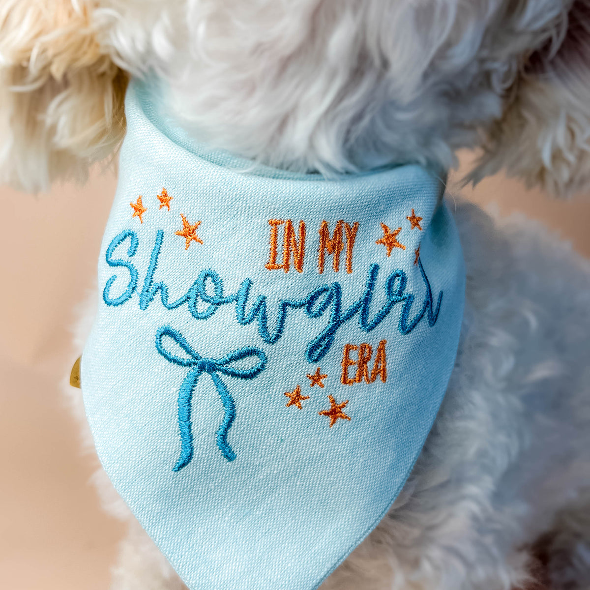 Dog wearing a light blue bandana with embroidered text and stars.