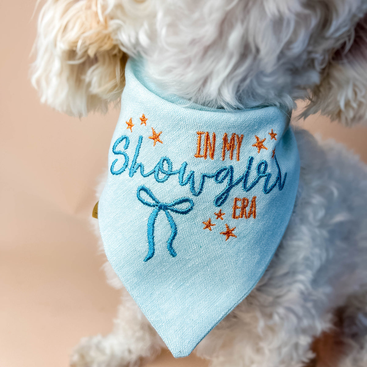 Dog wearing a light blue bandana with embroidered text on a beige background