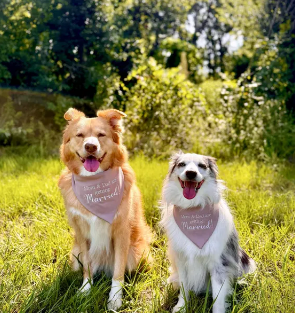 Two dogs sitting in a grassy field wearing bandanas with custom text.