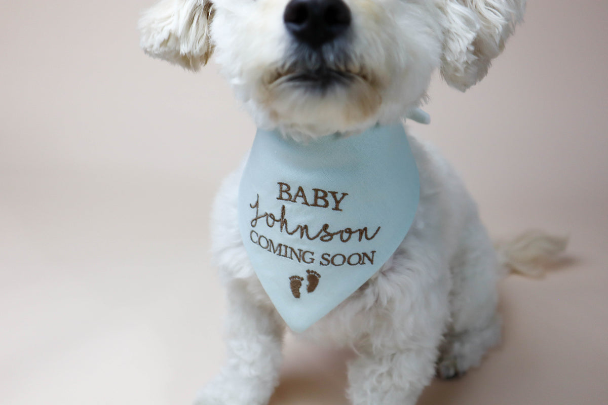 White dog wearing a light blue bandana with 'Baby Johnson Coming Soon' text on a plain background