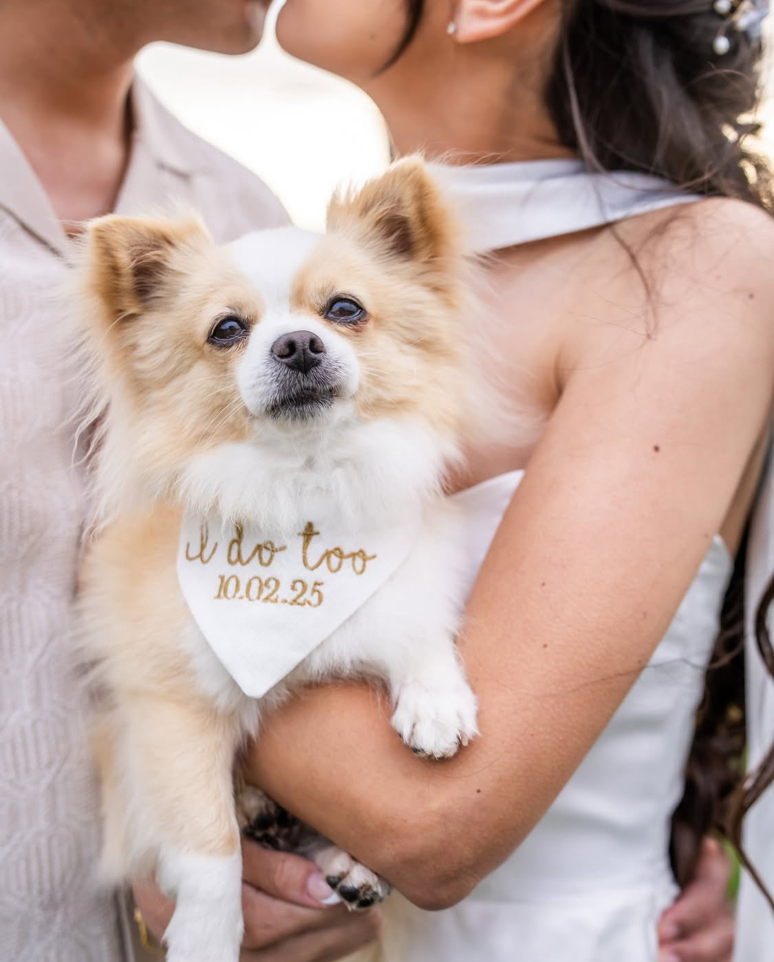 Small dog wearing a 'I do too' bandana held by a person in a light-colored dress.