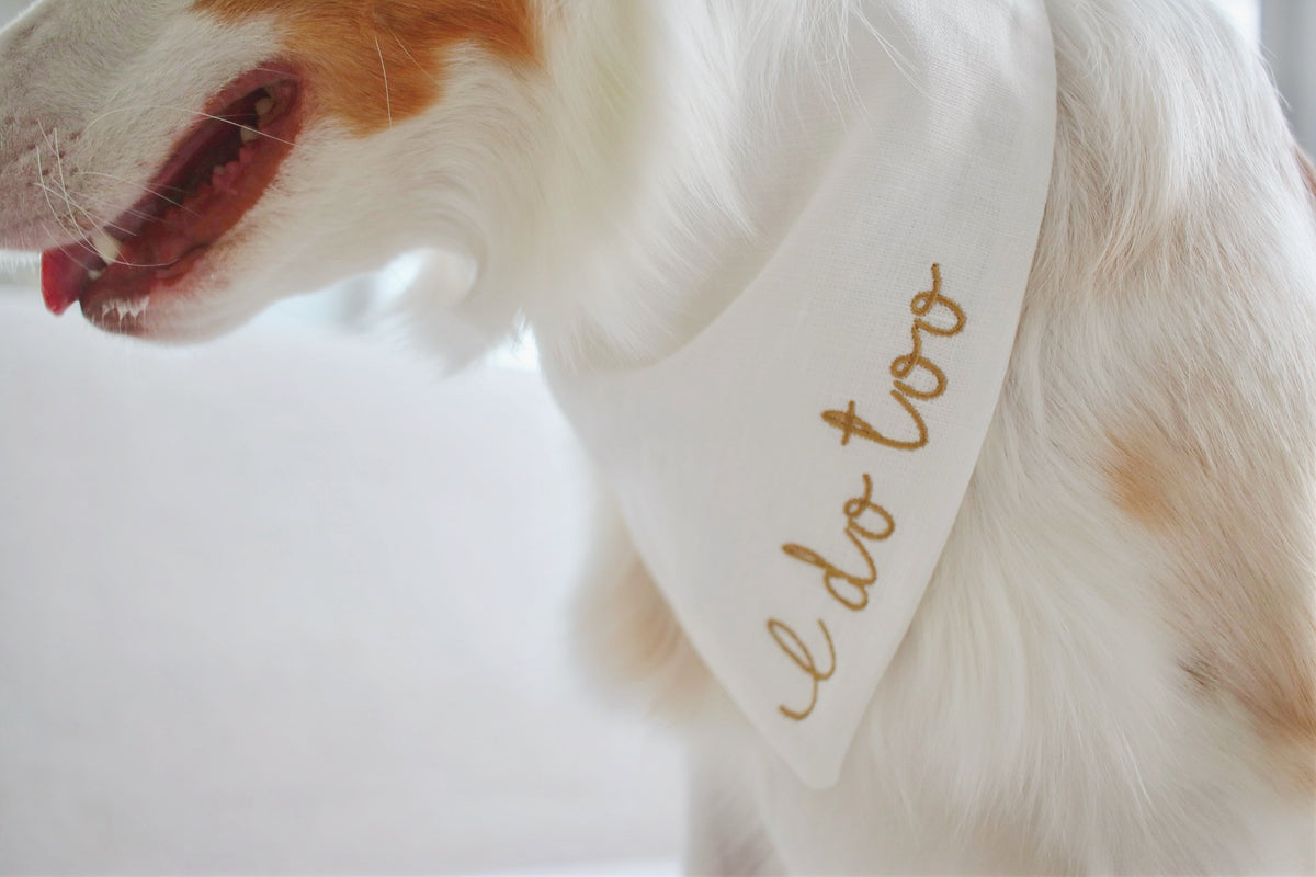 Dog wearing a bandana with 'I do too' text on a white background