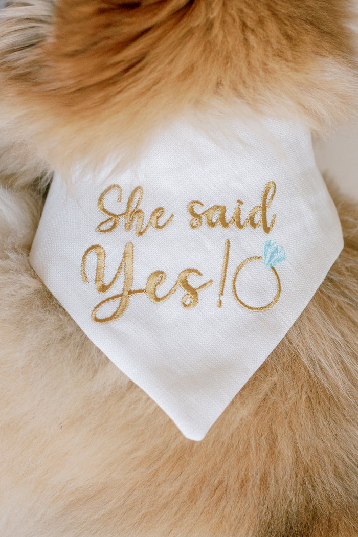 White bandana with 'She said Yes!' embroidery on a dog's fur.