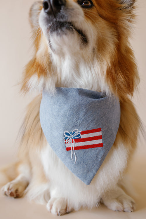 PATRIOTIC - USA