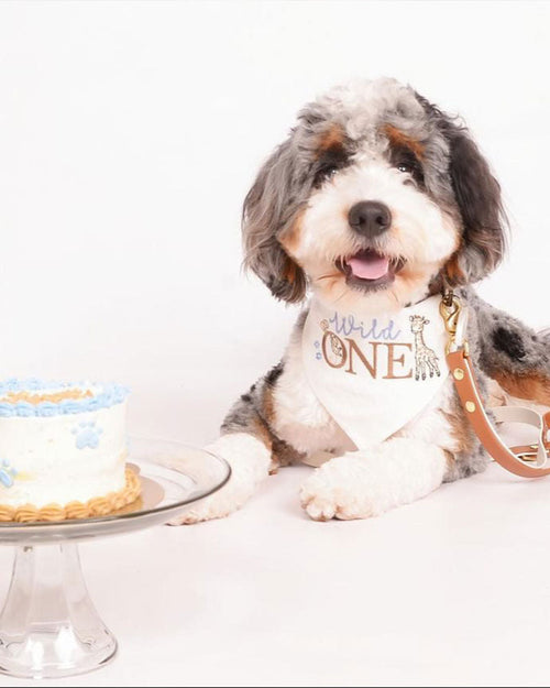 BIRTHDAYS