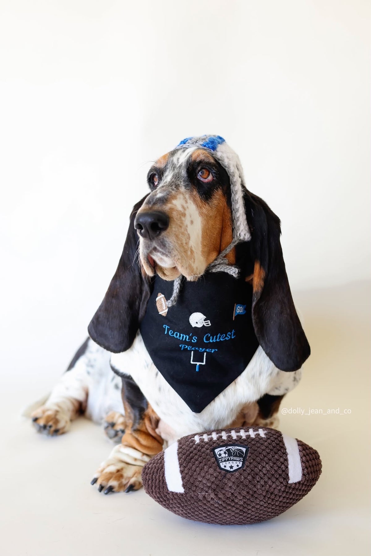 Football Icons Embroidered Dog Bandana | CUSTOM COLORS - Canoodle Company
