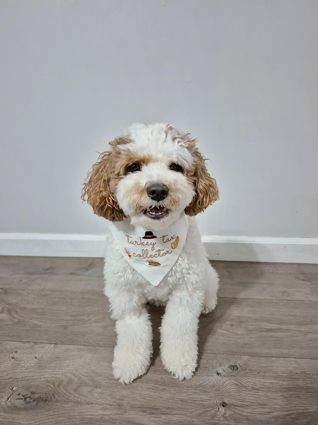 Turkey Tax Collector Embroidered Dog Bandana - Canoodle Company