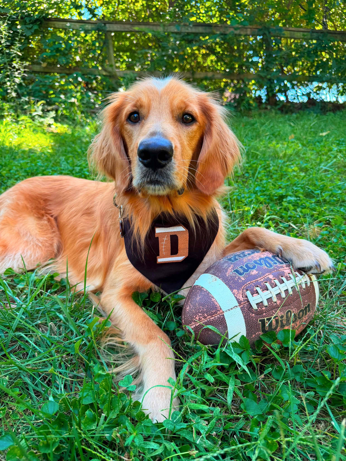 Football Letter Embroidered Dog Bandana | CUSTOM COLORS