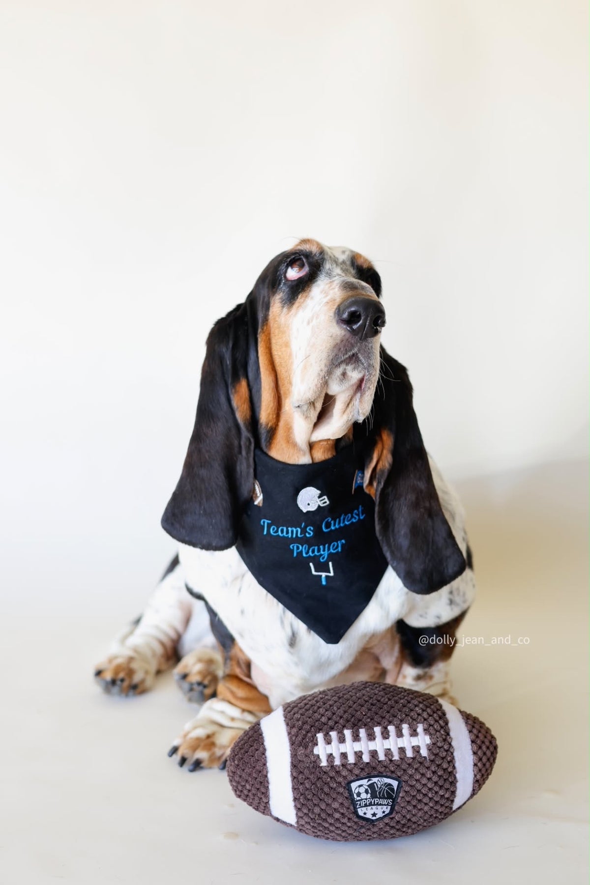 Football Icons Embroidered Dog Bandana | CUSTOM COLORS - Canoodle Company