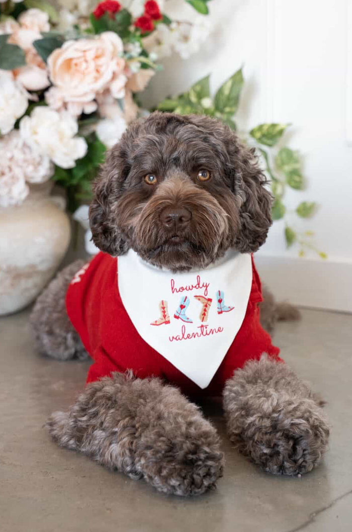 Dog wearing a red sweater with a white bandana in front of floral decorations