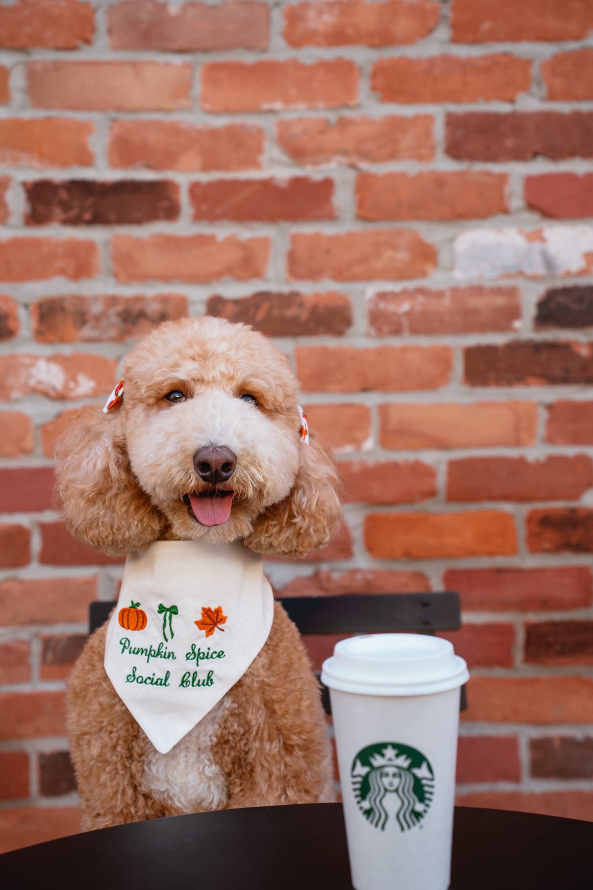Pumpkin Spice Social Club Embroidered Dog Bandana