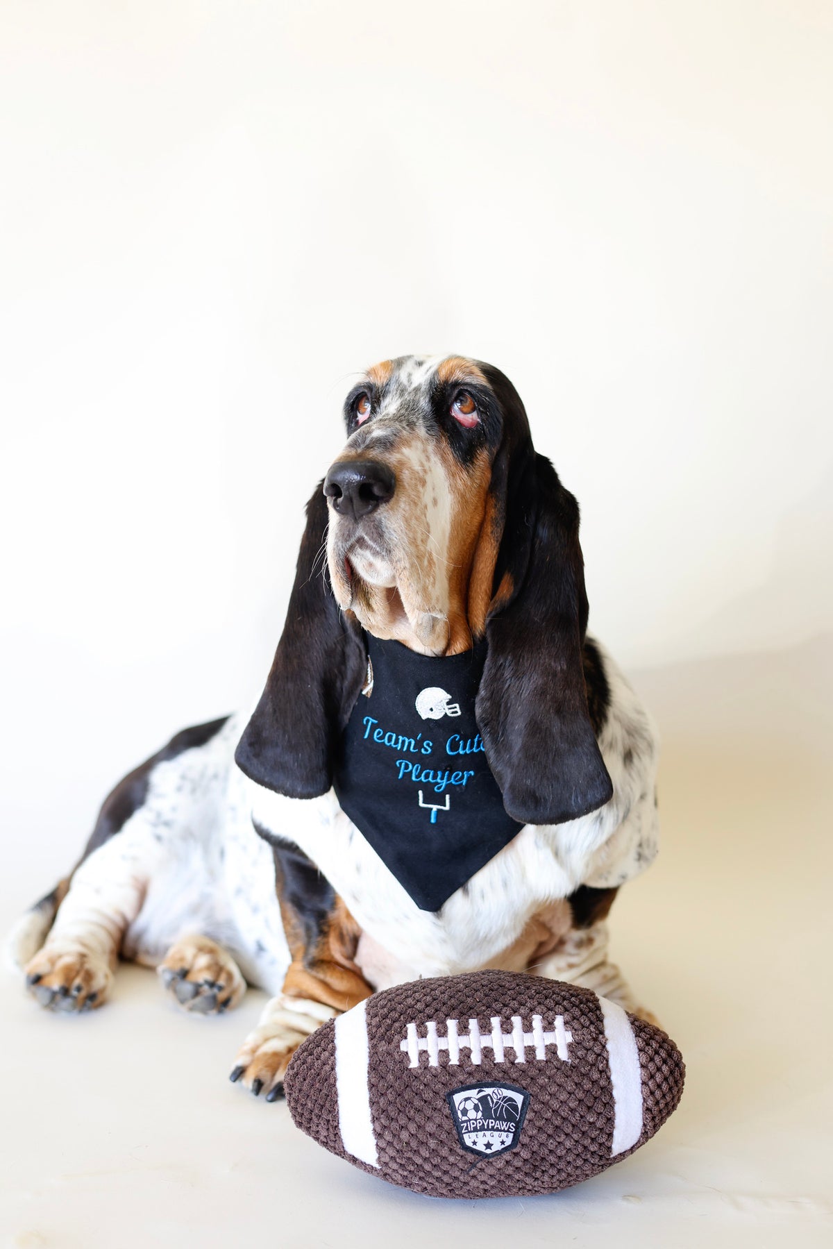 Football Icons Embroidered Dog Bandana | CUSTOM COLORS