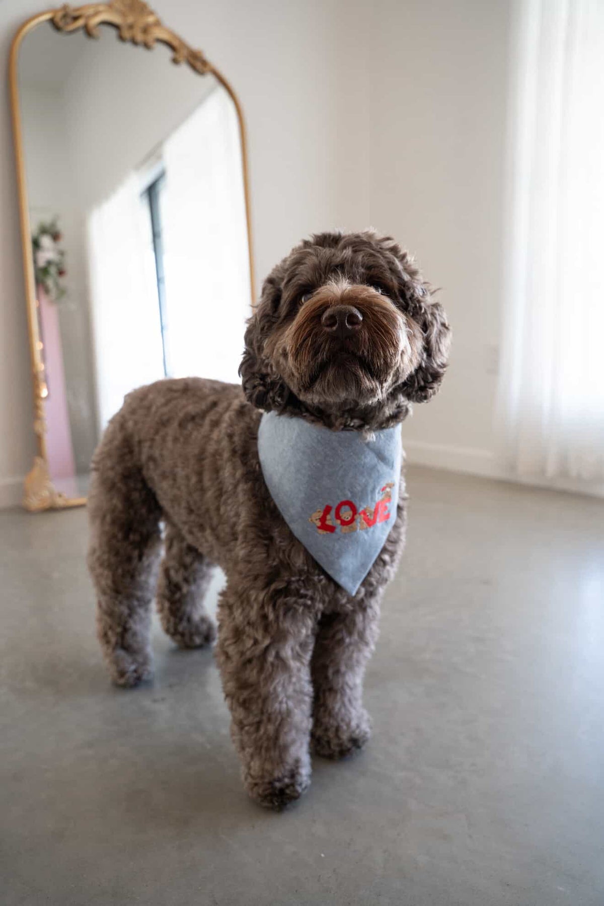LOVE Bears Embroidered Dog Bandana