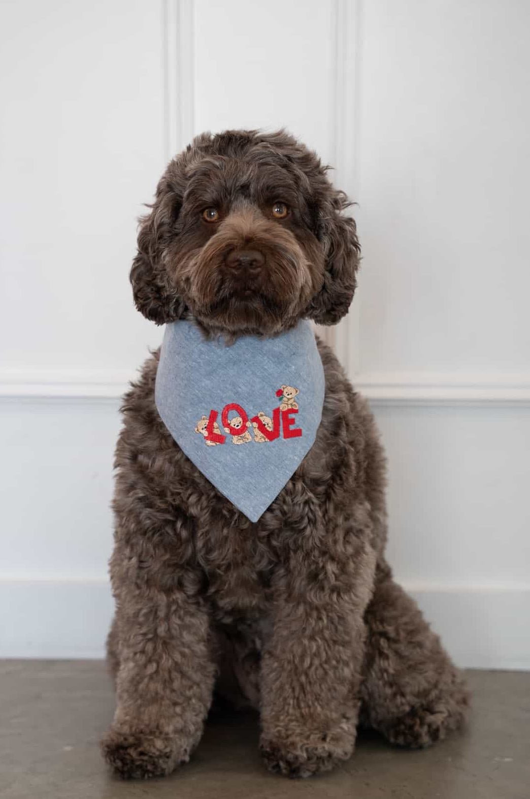 Brown dog wearing a blue bandana with red letters sitting on a wooden floor.