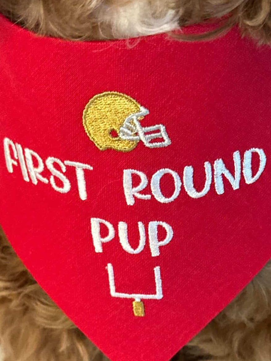 Football Icons Embroidered Dog Bandana | CUSTOM COLORS