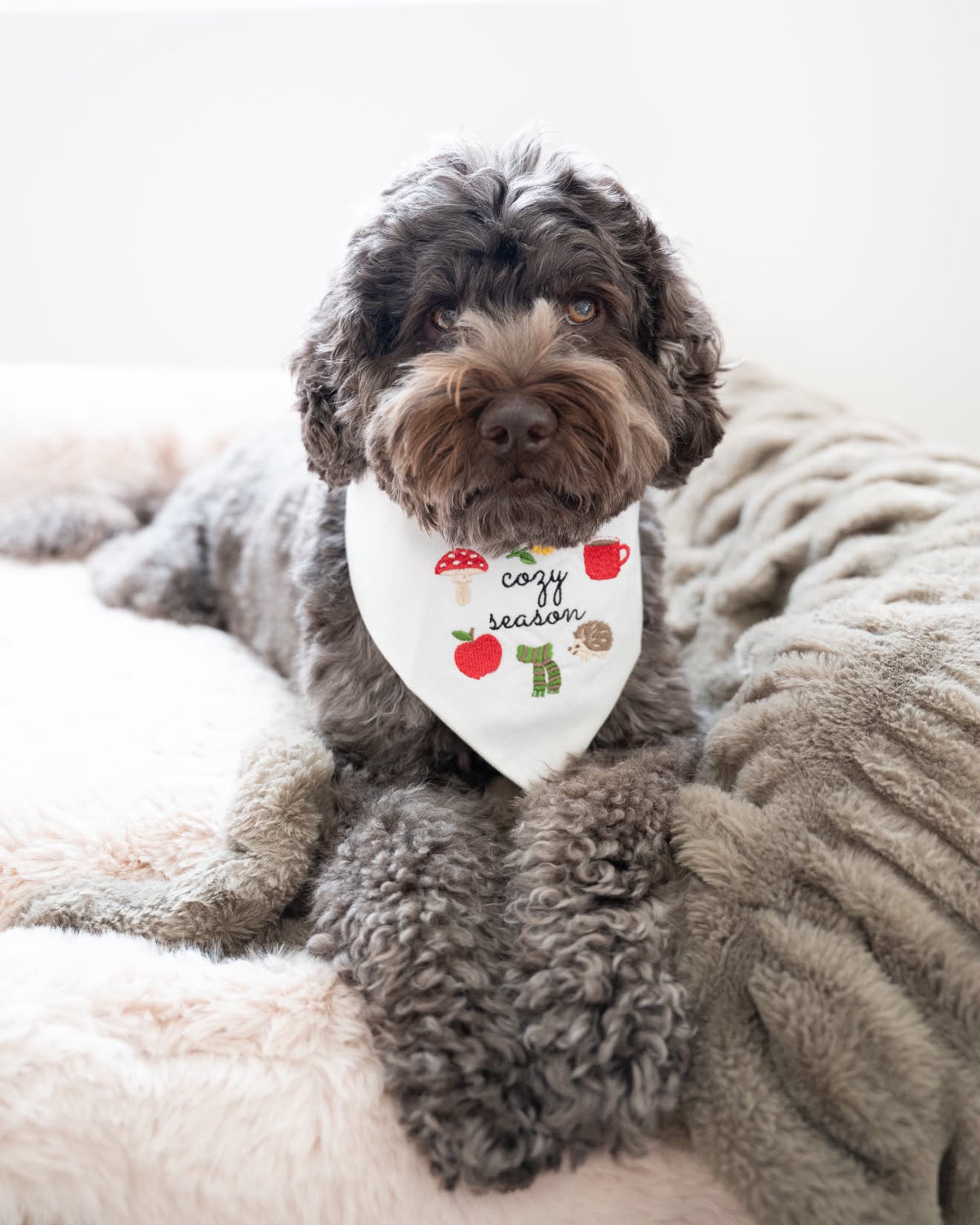Cozy Season Embroidered Dog Bandana - Canoodle Company
